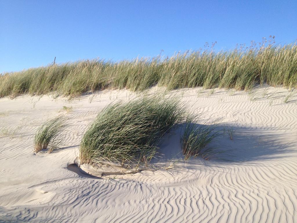 Hotel Twilling Sankt Peter-Ording Bagian luar foto