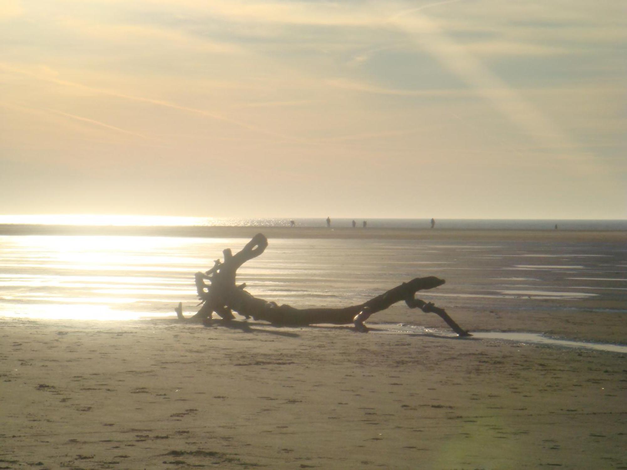 Hotel Twilling Sankt Peter-Ording Bagian luar foto